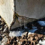 Фото по теме: Почему трескается фундамент после зимовки